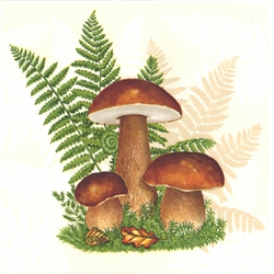 Polish Forest Mushroom (Boletus Edulis) Napkins (package of 20)