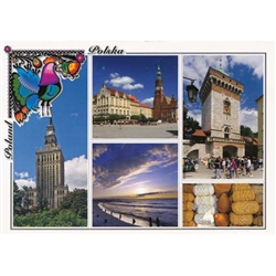 Polish full color glossy post cards are perfect for those school heritage projects. Scenes from around Poland including:
Warsaw - The Palace Of Culture - Palac Kultury
Wroclaw - Wroclaw
Cracow - Krakow
The Baltic Sea - Morze Baltyckie
Smoked Cheese