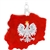 Map Of Poland Glass Ornament