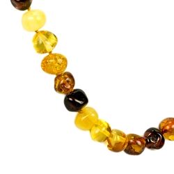 Lovely necklace composed of cherry, custard, light and dark honey Amber. Bead size approx. 10mm and smaller.  Gold colored cord with knot between each bead. Amber screw closure.