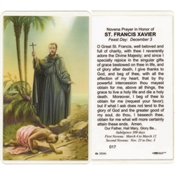 St. Francis Xavier - Holy Card.  Plastic Coated. Picture is on the front, text is on the back of the card.