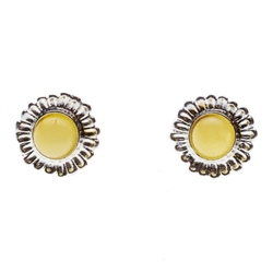 Charming sterling silver stud earrings with custard amber center. Size approx 1.5cm diameter.