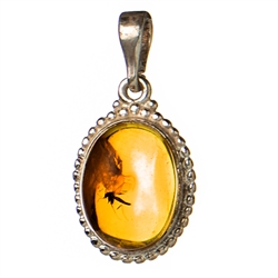 Beautiful oval shaped sterling silver amber pendant highlighting an insect inclusion. Size is approx 1" x .7".  Product of Lithuania.