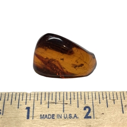 Trapped in amber approximately 50 million years ago.  Contains multiple insect inclusions. This very fine piece was found in Poland, weighs 4.8 grams and measures approx 1.1" x .75" x .4".