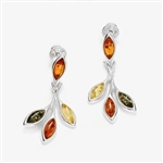 Gorgeous Baltic Amber earrings framed in Sterling Silver. Size is approx 1.25" X 0.5"
