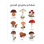 This magnet is about the size of a business card, is non-flexible with a strong magnet. Nine types of Polish mushrooms