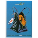 Magnet: Polish Airlines LOT 1973, from a Polish Poster designed by Janusz Grabianski in 1973. It has now been turned into a post card size 3.25" x 2.25" - 18cm x 15.5cm.