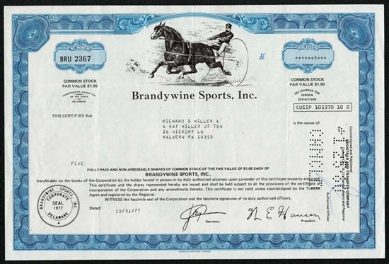 Brandywine Sports, Inc. Stock Certificate