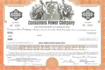 Consumer Power Company