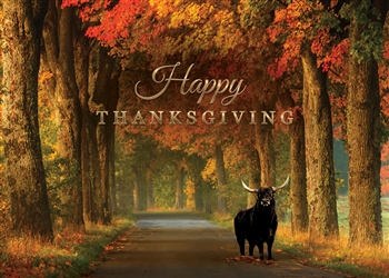 Fall Thanksgiving Bull Card