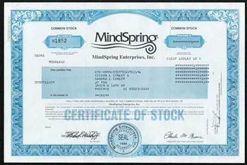 Mindspring  Stock Certificate - Rare