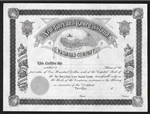 New York and Coney Island Railroad Company Stock Certificate