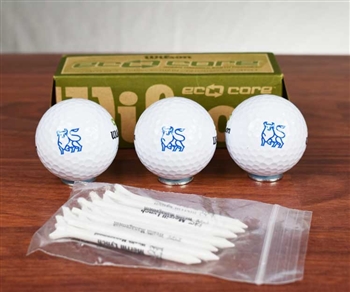 Merrill Lynch Golf Balls Set