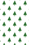 Evergreens Gift Wrap