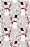 Frosty Flakes Embossed Gift Wrap