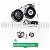 Range Rover Primary Belt Tensioner PQR000170