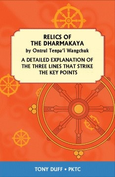 Relics of Dharmakaya by Ontrul Tenpa'i Wangchuk