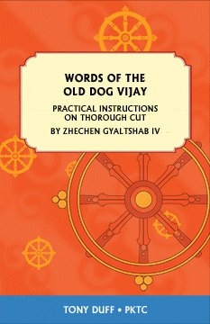 Words of the Old Dog Vijay