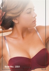 Adjustable Clear Bra Straps