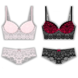 Wholesale Allover Lace Long Lined Bra set