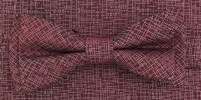 3751 ZAZZI bow & pocket square in a wine tone on tone pattern