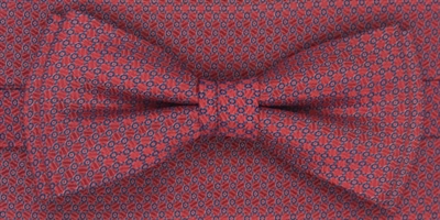 ZAZZI bow & pocket square