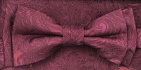 Montagu bow & pocket square