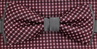 Bow & pocket square