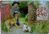Nister - Little Pets Panorama Pictures - 1800's pop-up book - complete