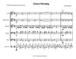 Estero Morning (downloadable)