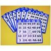 Large Print Bingo Cards (10 Pack)