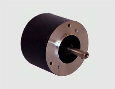 Transmotec Brushless DC Motors BR4230