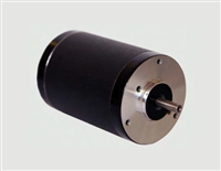 Transmotec Brushless DC Motors BR4260