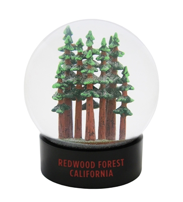 Fog Globe - Redwoods