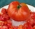 Aker's West Virginia - Organic Heirloom Tomato Seedss