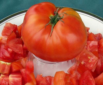 Aker's West Virginia Heirloom Tomato Seeds