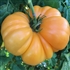 Amana Orange - Organic Heirloom Tomato Seeds