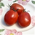 Amish Paste - Organic Heirloom Tomato Seeds