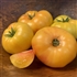 Ananas - Organic Heirloom Tomato Seeds