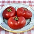 Andrew Raharts Jumbo Red - Organic Heirloom Tomato Seeds