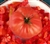 Argentina - Organic Heirloom Tomato Seeds