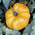 Arkansas Marvel - Organic Heirloom Tomato Seeds