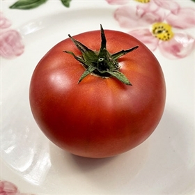 Arkansas Traveler Tomato