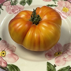 Armenian - Heirloom Tomato Seeds