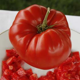 Aussie-Heirloom Tomato