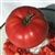 Beauty - Organic Heirloom Tomato Seeds