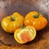 Big Rainbow - Organic Heirloom Tomato Seeds