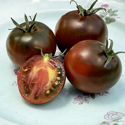 Black Prince Tomato