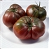 Black Sea Man - Organic Heirloom Tomato Seeds