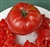 Boondocks - Organic Heirloom Tomato Seeds